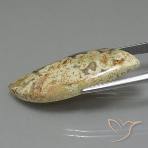 Jaspe Multicolorido Natural 18.71ct, Chique, Opaco
