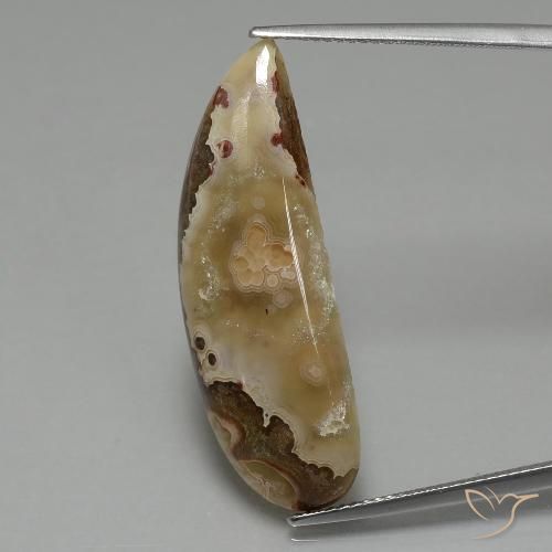 14.43ct Natural Multicolorido Jaspe, Chique, Opaco