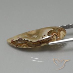 Jaspe Multicolorido Natural 14.43ct, Chique, Opaco