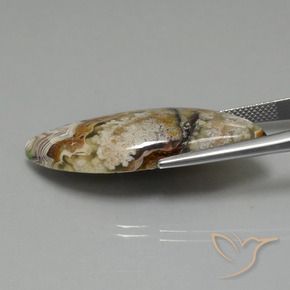 Jaspe Multicolorido Natural 22.13ct, Chique, Opaco