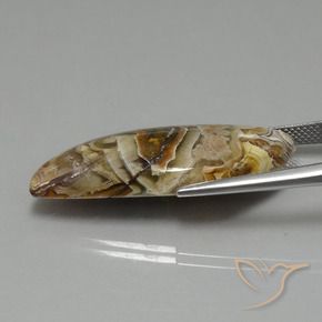 Jaspe Multicolorido Natural 22.13ct, Chique, Opaco