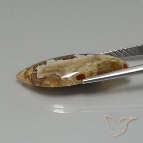 Jaspe Multicolorido Natural 17.84ct, Chique, Opaco