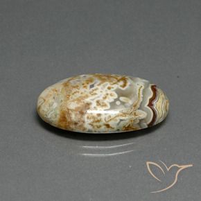 Jaspe Multicolorido Natural 14.29ct, oval, Opaco