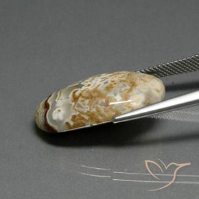 Jaspe Multicolorido Natural 14.29ct, oval, Opaco