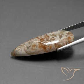Jaspe Multicolorido Natural 19.58ct, Formato de pêra, Opaco