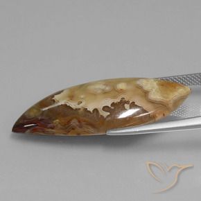 Jaspe Multicolorido Natural 17.69ct, Chique, Opaco