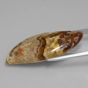 Jaspe Multicolorido Natural 24.71ct, Forma extravagante, Opaco