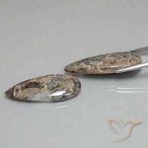 Pedras preciosas de Jaspe Multicolorido natural de 21.31 ct, Formato de pêra, Opaco
