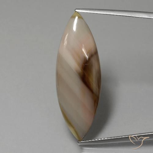 13.74ct Natural Multicolorido Jaspe, Marquesa, Opaco