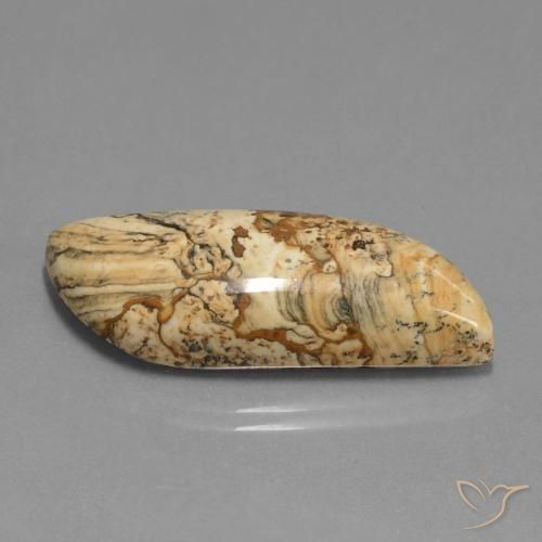 Jaspe Multicolorido Natural 27.33ct, Chique, Opaco
