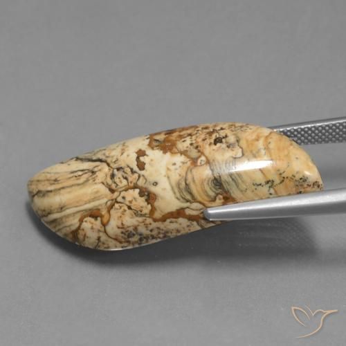 Jaspe Multicolorido Natural 27.33ct, Chique, Opaco