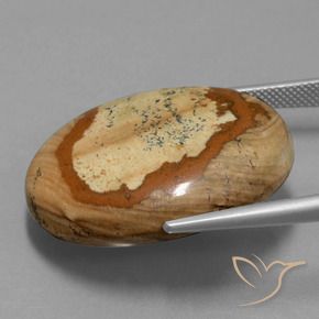 Jaspe Multicolorido Natural 44.93ct, oval, Opaco