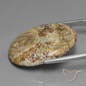 Jaspe Multicolorido Natural 37.65ct, oval, Opaco