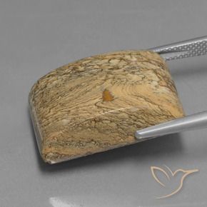 Jaspe Multicolorido Natural 28.04ct, baguete, Opaco