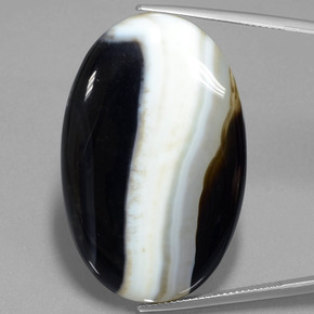 Jaspe multicolorido natural 57,18ct, corte oval, opaco