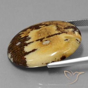Jaspe Multicolorido Natural 28.65ct, oval, Opaco