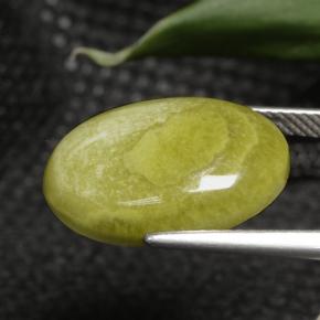 Jaspe multicolorido natural 7,63ct, corte oval, opaco