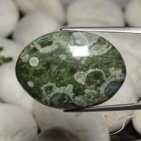 Jaspe Multicolorido Natural 26.41ct, oval, Opaco