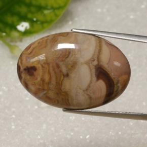 Jaspe multicolorido natural 17,61ct, corte oval, opaco