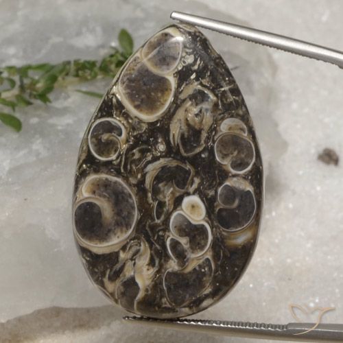 35.12ct Natural Multicolorido Jaspe, Formato de pêra, Opaco