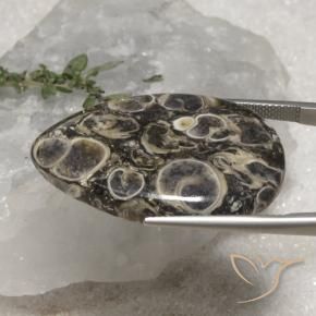 Jaspe Multicolorido Natural 35.12ct, Formato de pêra, Opaco