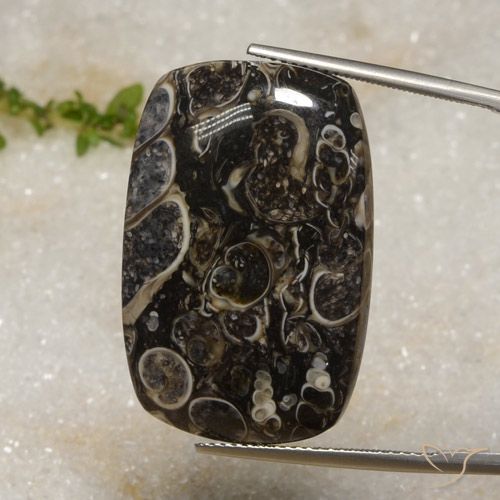 33.92ct Natural Multicolorido Jaspe, Almofada, Opaco