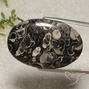 Jaspe Multicolorido Natural 40.51ct, oval, Opaco