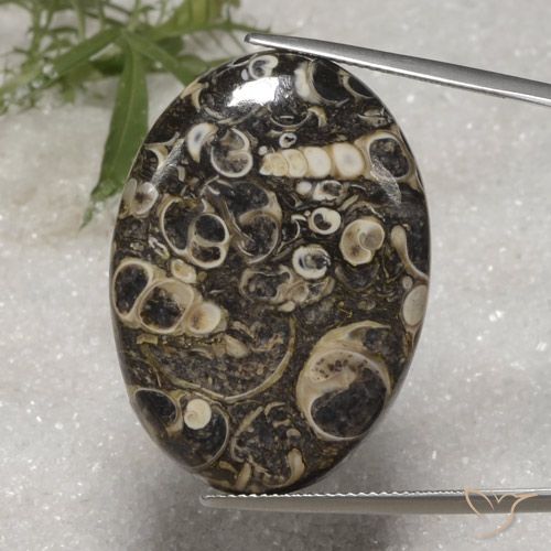 36.40ct Natural Multicolorido Jaspe, oval, Opaco