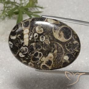 Jaspe Multicolorido Natural 36.40ct, oval, Opaco