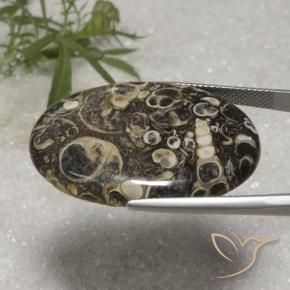 Jaspe Multicolorido Natural 36.40ct, oval, Opaco