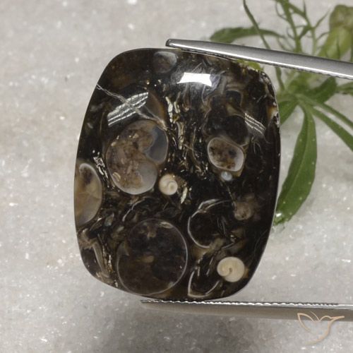 23.10ct Natural Multicolorido Jaspe, Almofada, Opaco