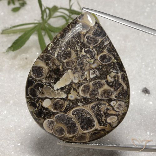 62.18ct Natural Multicolorido Jaspe, Formato de pêra, Opaco