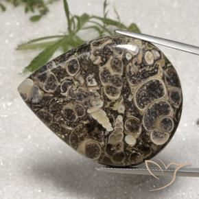 Jaspe Multicolorido Natural 62.18ct, Formato de pêra, Opaco