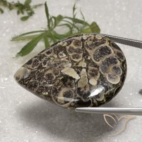 Jaspe Multicolorido Natural 62.18ct, Formato de pêra, Opaco