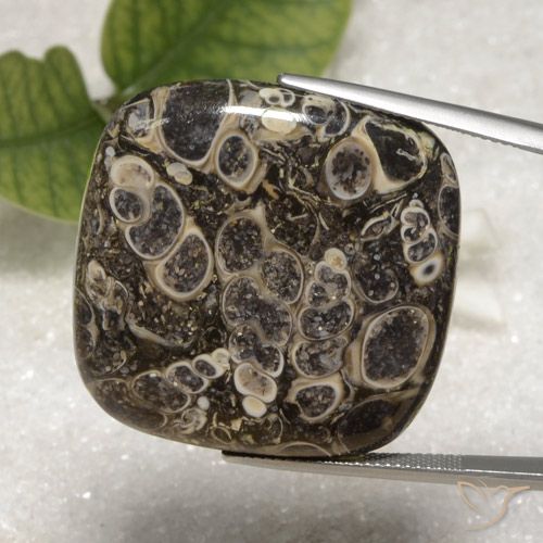 55.16ct Natural Multicolorido Jaspe, Almofada, Opaco