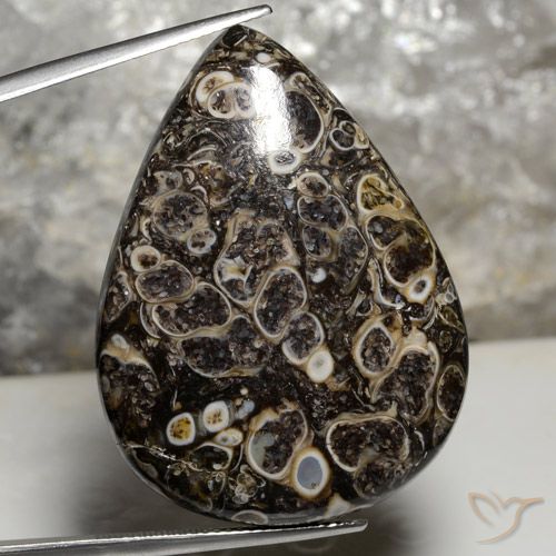 50.43ct Natural Multicolorido Jaspe, Formato de pêra, Opaco
