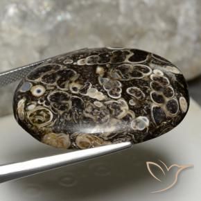 Jaspe Multicolorido Natural 44.14ct, oval, Opaco