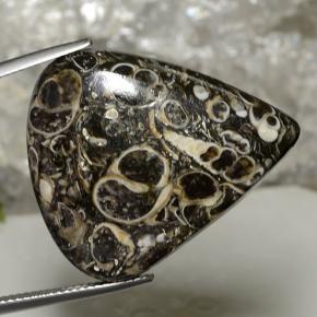 Jaspe multicolorido natural 34,34ct, formato de pêra, opaco