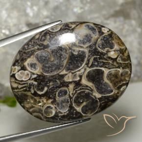 Jaspe Multicolorido Natural 37.90ct, oval, Opaco
