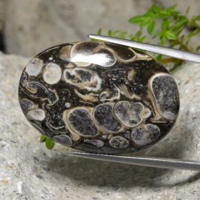 Jaspe multicolorido natural 48,18ct, corte oval, opaco