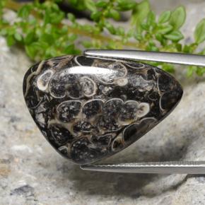 Jaspe multicolorido natural 25,56ct, trillion, opaco