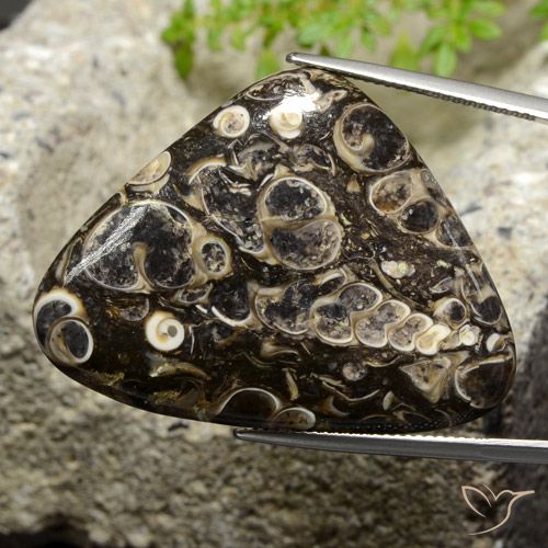 41.13ct Natural Multicolorido Jaspe, Trilhão, Opaco