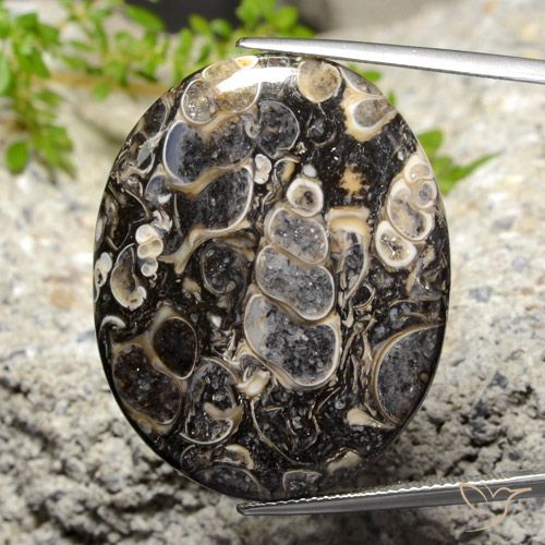 34.14ct Natural Multicolorido Jaspe, oval, Opaco, Photo A