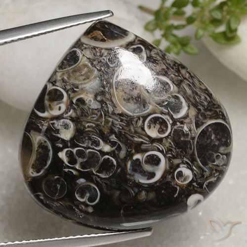 35.93ct Natural Multicolorido Jaspe, Formato de pêra, Opaco