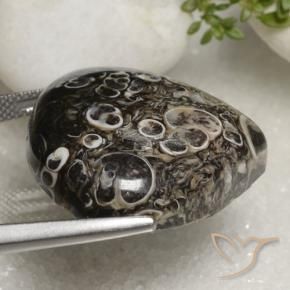 Jaspe Multicolorido Natural 35.93ct, Formato de pêra, Opaco