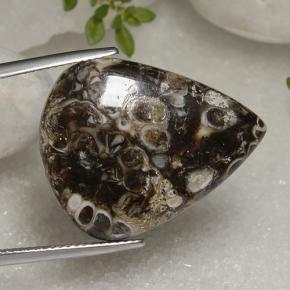 Jaspe Multicolorido Natural 22.56ct, Formato de pêra, Opaco