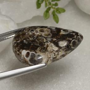 Jaspe Multicolorido Natural 22.56ct, Formato de pêra, Opaco