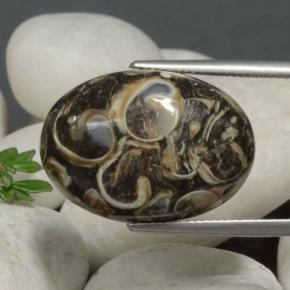 Jaspe multicolorido natural 21,09ct, corte oval, opaco