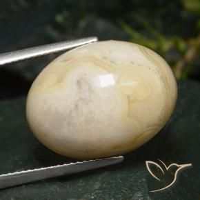 Jaspe Multicolorido Natural 16.47ct, oval, Opaco