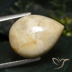 Jaspe Multicolorido Natural 8.73ct, Formato de pêra, Opaco